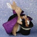 The Rabbit Magician Set of ..