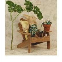Original greeting cards Watching the Garden Grow  Set of 4